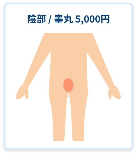 陰部 / 睾丸 5,000円